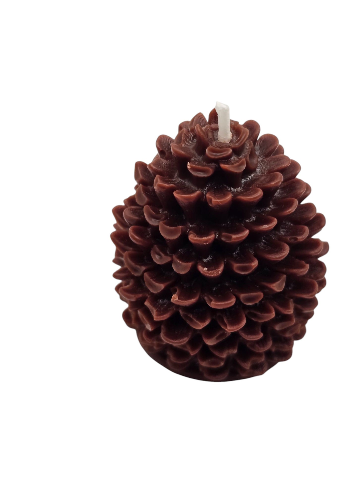 🍂 Pine Cone Candle