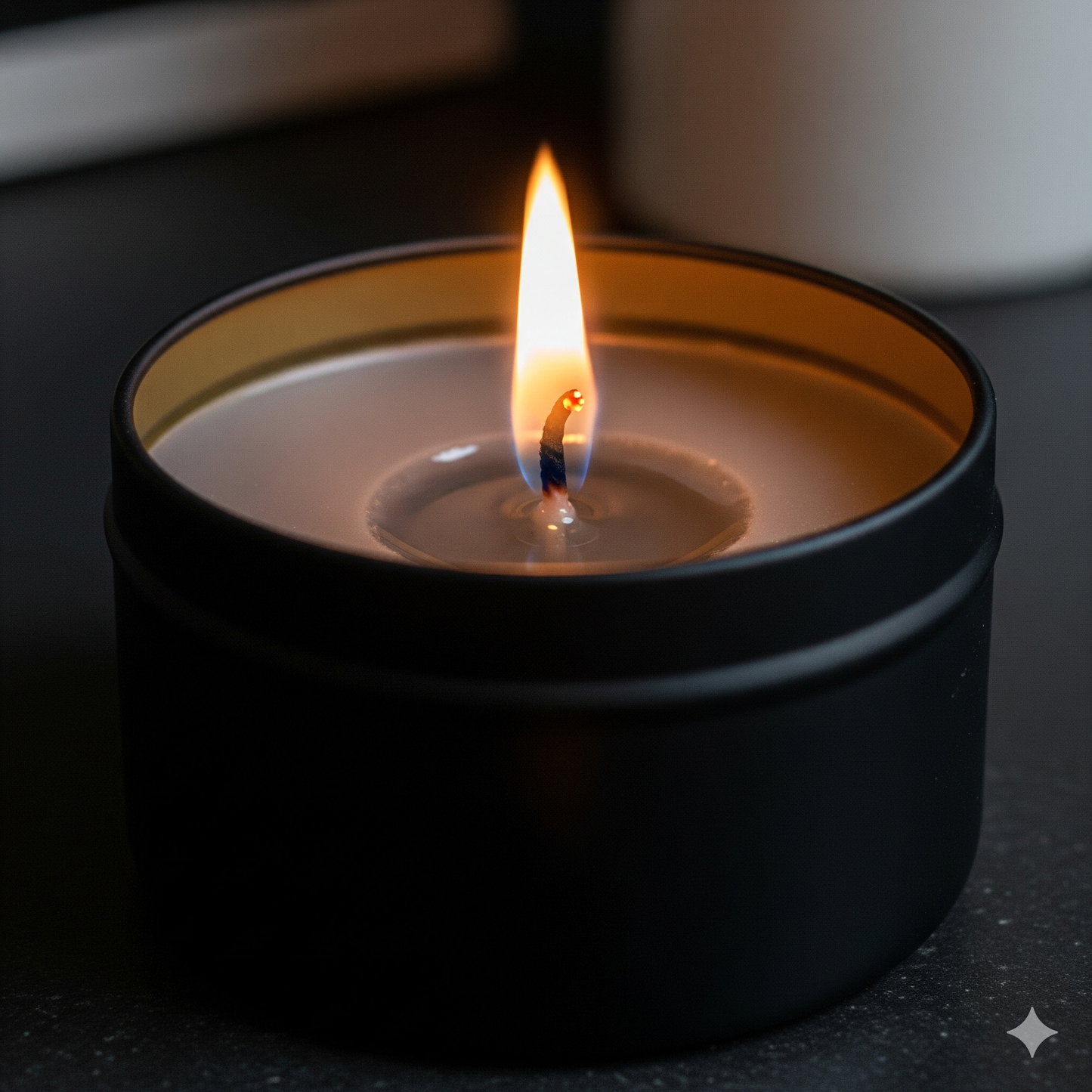 Aromatherapy - • Capricorn (♑) Zodiac Sign Candle - 8 oz