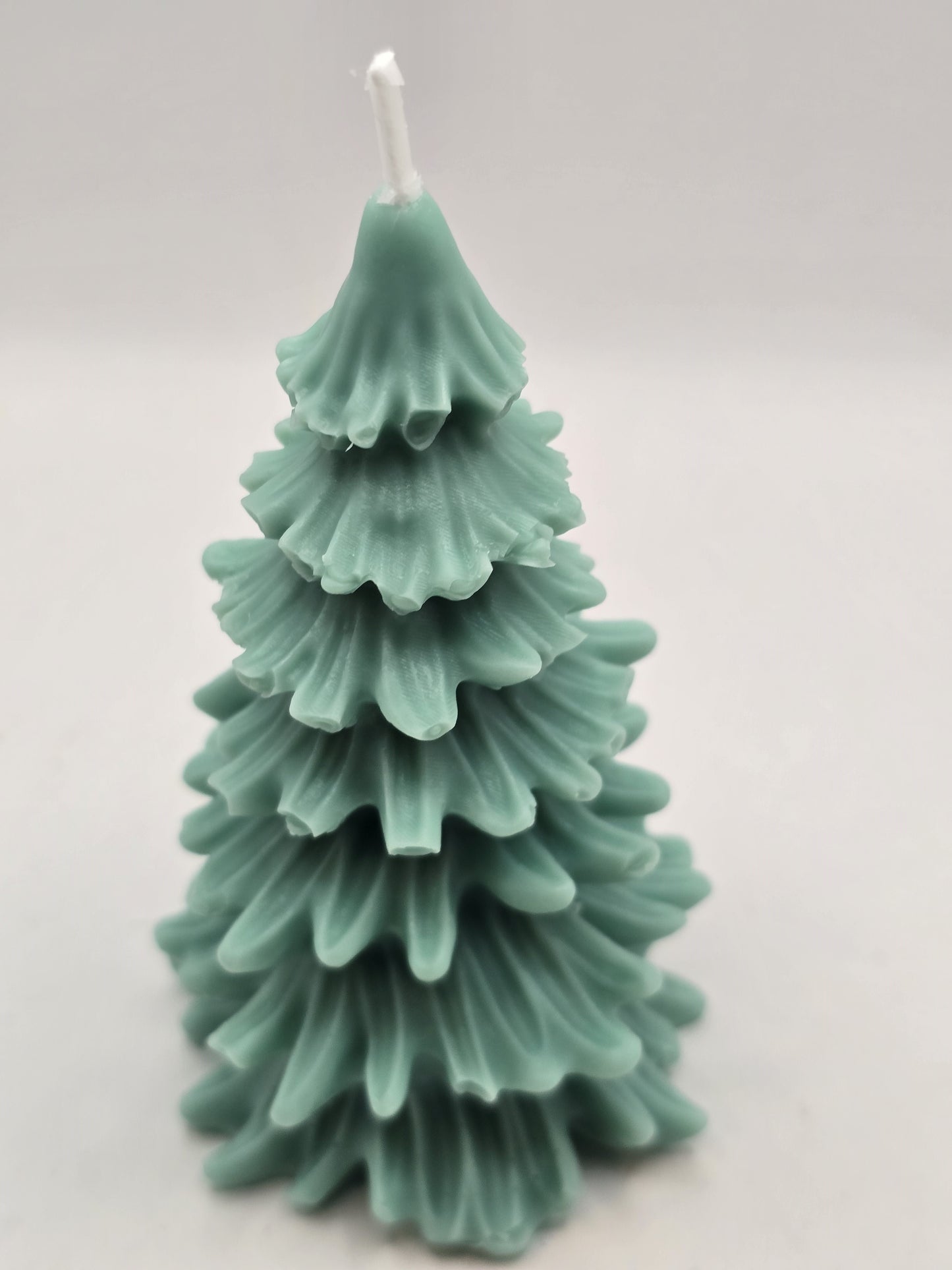 🎄 Douglas Fir  - Christmas Tree Candle