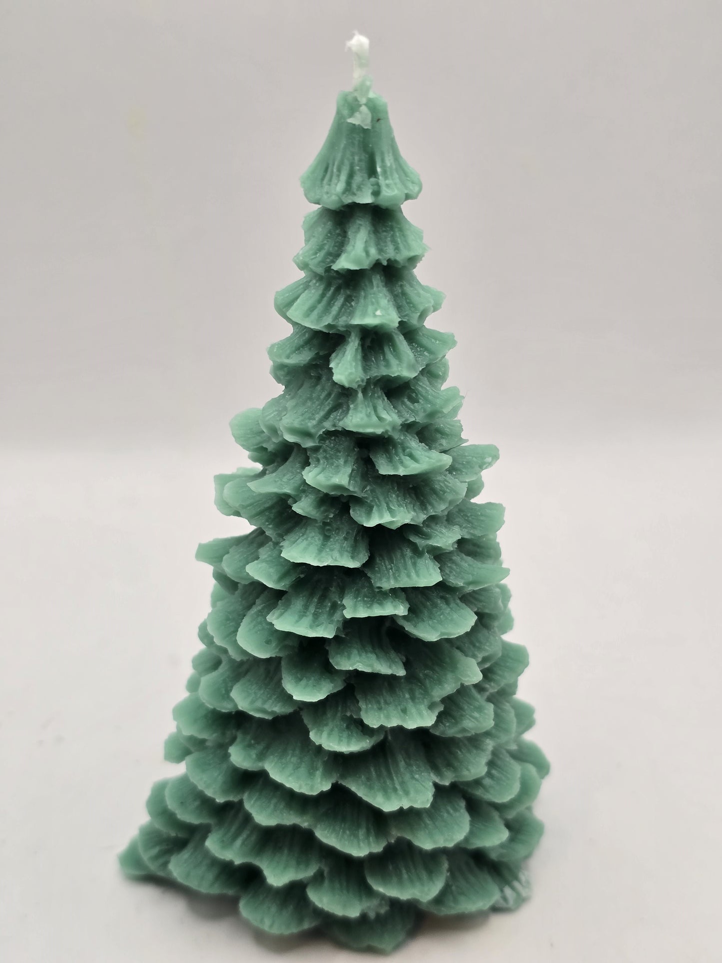 Evergreen Christmas Trees