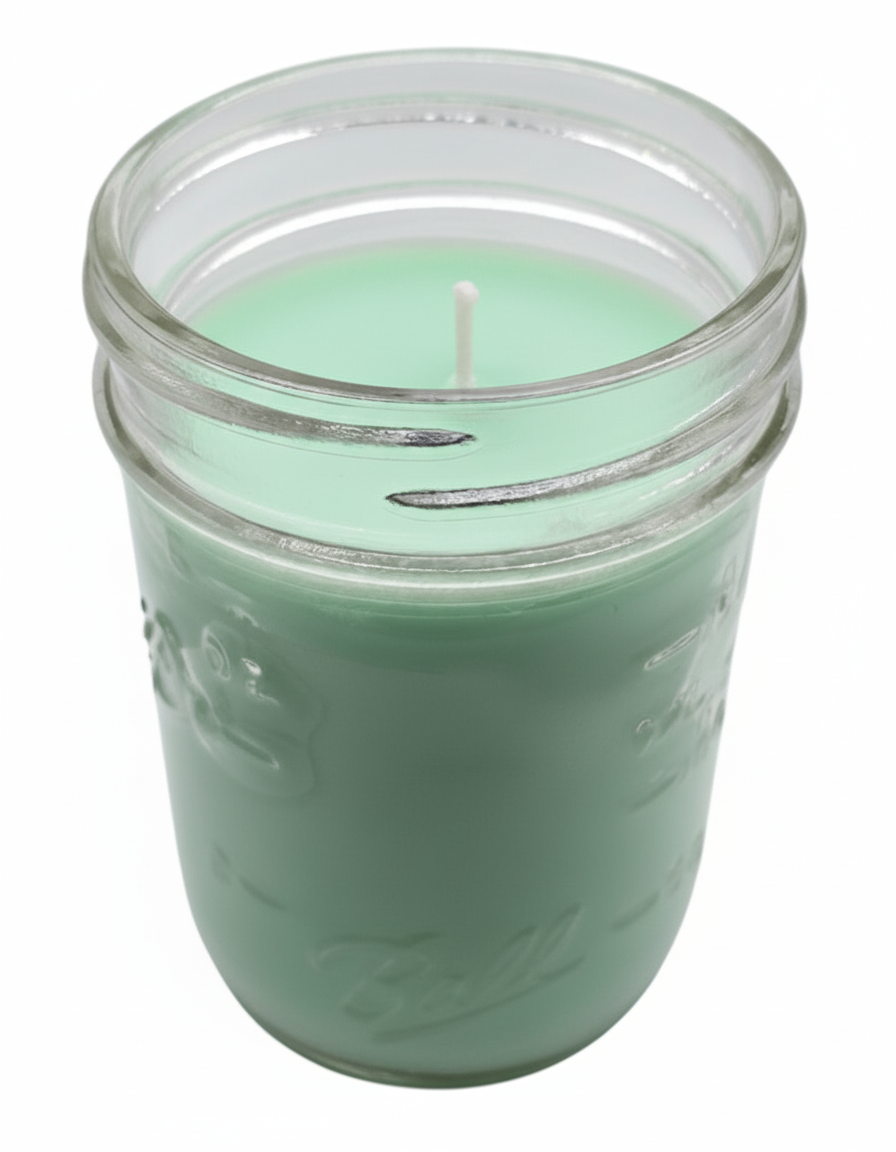 Citronella Infused Candles