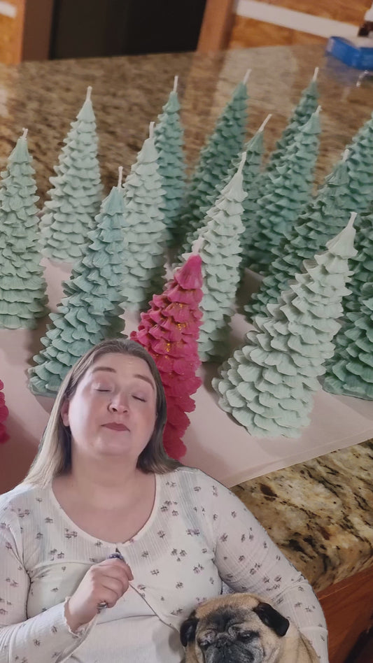 Evergreen Christmas Trees